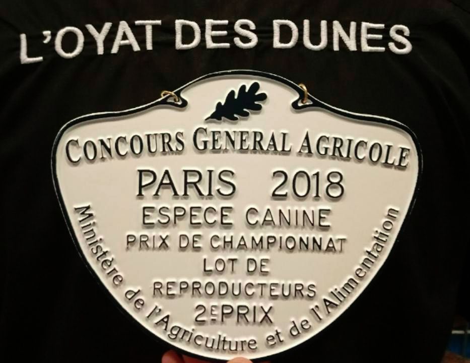 de l'oyat des dunes - FINALE SALON DE L'AGRICULTURE 2018